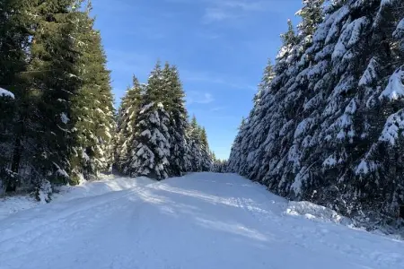 Hautes Fagnes, Magnifique chalet près de la forêt à Malmedy - Photo 36