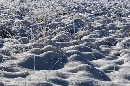 Hautes Fagnes, Magnifique chalet près de la forêt à Malmedy - Photo 37