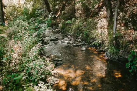 Cottage Excellence, Beau chalet avec lave-vaisselle, à seulement 3 km de Malmédy - Photo 25