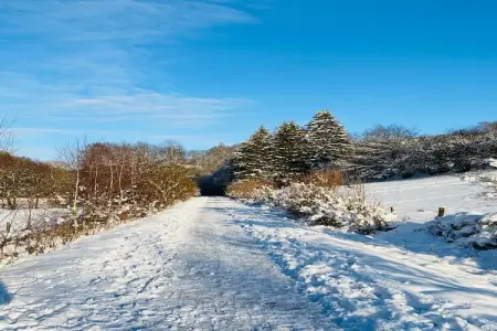 Cottage Excellence, Beau chalet avec lave-vaisselle, à seulement 3 km de Malmédy - Photo 27