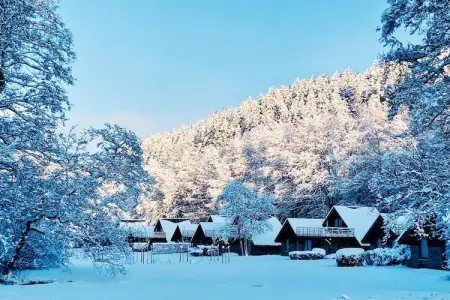 Cottage Excellence, Beau chalet avec lave-vaisselle, à seulement 3 km de Malmédy - Photo 29