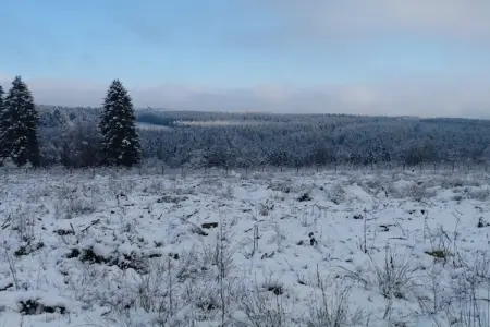 La Fagnardise, Chalet confortable à Malmedy avec jardin privé - Photo 41
