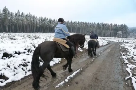 La Fagnardise, Chalet confortable à Malmedy avec jardin privé - Photo 44
