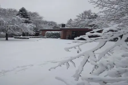 Patio et Jardin, Belle villa avec piscine (mi-mai à mi-septembre) à Stavelot - Photo 32
