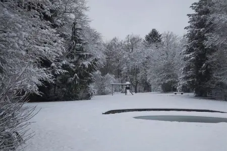 Patio et Jardin, Belle villa avec piscine (mi-mai à mi-septembre) à Stavelot - Photo 33