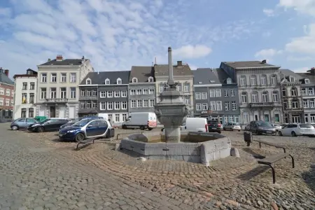 Patio et Jardin, Belle villa avec piscine (mi-mai à mi-septembre) à Stavelot - Photo 36