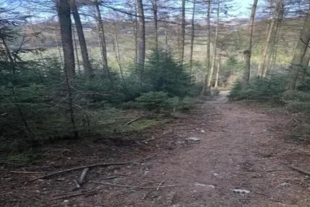 Le Laurier Rose, Charmante maison de vacances avec piscine à Coo - Photo 28