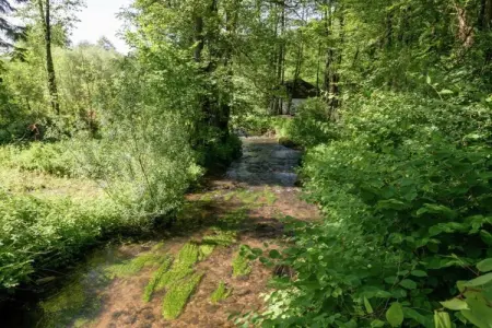Le Laurier Rose, Charmante maison de vacances avec piscine à Coo - Photo 30