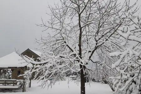 Azur, Magnifique maison de vacances à Stoumont avec jardin privé - Photo 31