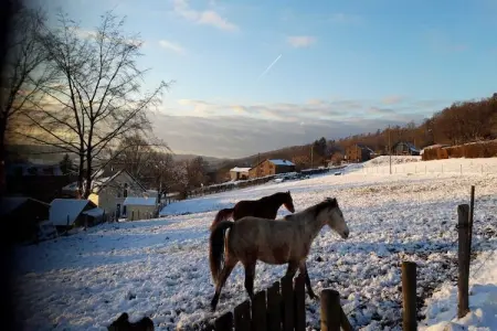 Azur, Magnifique maison de vacances à Stoumont avec jardin privé - Photo 45
