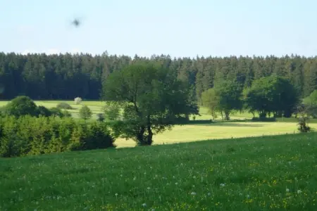 La Fausse Epine, Maison en pierre à Baneux avec jardin - Photo 37