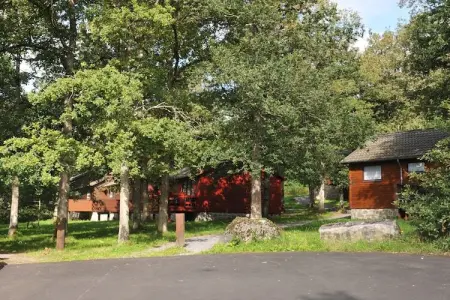 Le Bochetay 12, Chalet confortable en bois, terrasse, à 15 km de Durbuy - Photo 19