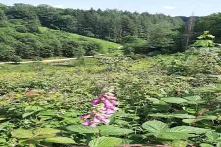 Le Bochetay 12, Chalet confortable en bois, terrasse, à 15 km de Durbuy - Photo 28