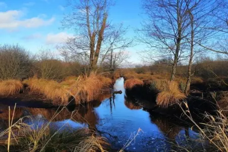 Le Bochetay 12, Chalet confortable en bois, terrasse, à 15 km de Durbuy - Photo 29