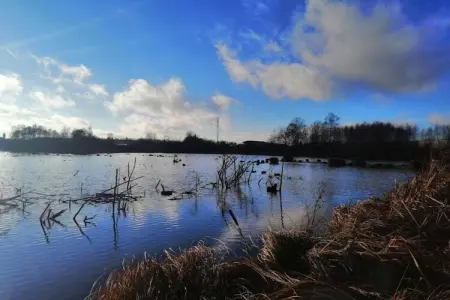 Le Bochetay 12, Chalet confortable en bois, terrasse, à 15 km de Durbuy - Photo 30