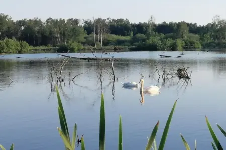 Le Bochetay 12, Chalet confortable en bois, terrasse, à 15 km de Durbuy - Photo 32