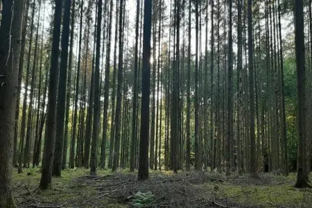 Le Bochetay 12, Chalet confortable en bois, terrasse, à 15 km de Durbuy - Photo 33