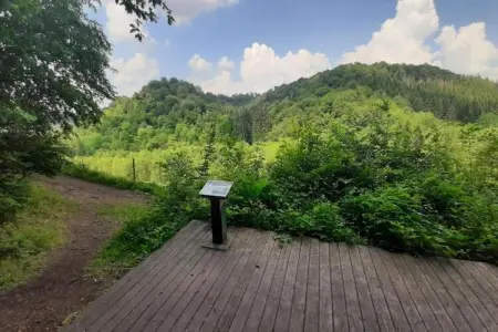 Le Bochetay 12, Chalet confortable en bois, terrasse, à 15 km de Durbuy - Photo 35