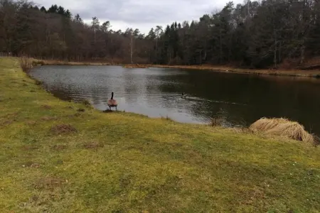 Le Bochetay 12, Chalet confortable en bois, terrasse, à 15 km de Durbuy - Photo 36
