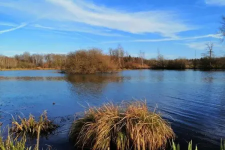 Le Bochetay 12, Chalet confortable en bois, terrasse, à 15 km de Durbuy - Photo 37