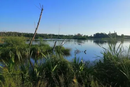 Le Bochetay 12, Chalet confortable en bois, terrasse, à 15 km de Durbuy - Photo 38
