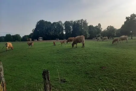 Le Bochetay 12, Chalet confortable en bois, terrasse, à 15 km de Durbuy - Photo 39