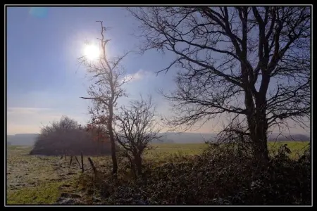 Arbre Dressé, Agréable maison de vacances à Somme-Leuze avec jacuzzi - Photo 31