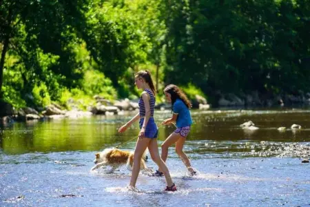 Arbre Dressé, Agréable maison de vacances à Somme-Leuze avec jacuzzi - Photo 32