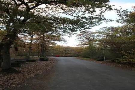 Arbre Dressé, Agréable maison de vacances à Somme-Leuze avec jacuzzi - Photo 36