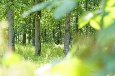 Arbre Dressé, Agréable maison de vacances à Somme-Leuze avec jacuzzi - Photo 37