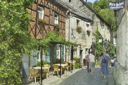 L'Aimant, Belle maison de vacances en Somme-Leuze avec sauna - Photo 26