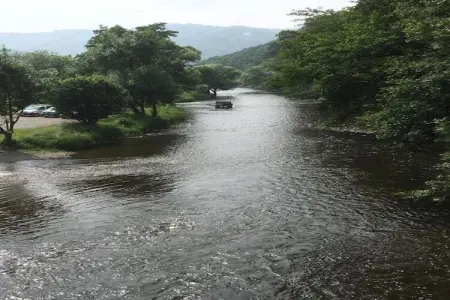 L'Aimant, Belle maison de vacances en Somme-Leuze avec sauna - Photo 31