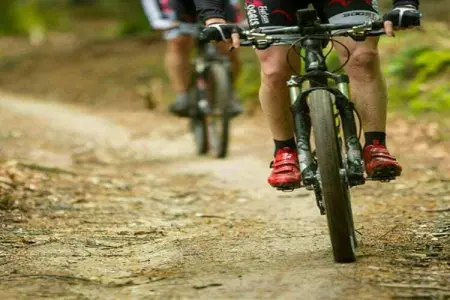 L'Aimant, Belle maison de vacances en Somme-Leuze avec sauna - Photo 38