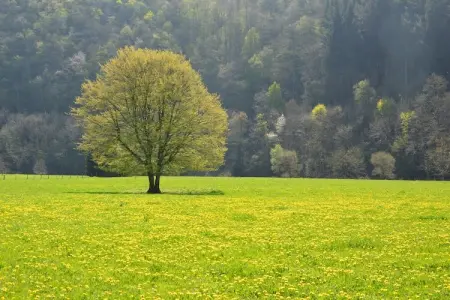 La Rotonde, Belle maison de vacances à Somme-Leuze avec piscine - Photo 23