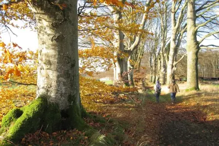 La Rotonde, Belle maison de vacances à Somme-Leuze avec piscine - Photo 24