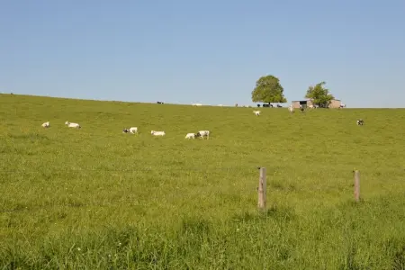 Villa Achille, Maison de vacances moderne à Somme-Leuze avec grand jardin - Photo 20