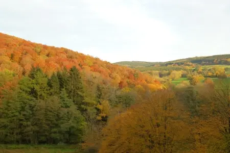 Villa Achille, Maison de vacances moderne à Somme-Leuze avec grand jardin - Photo 21