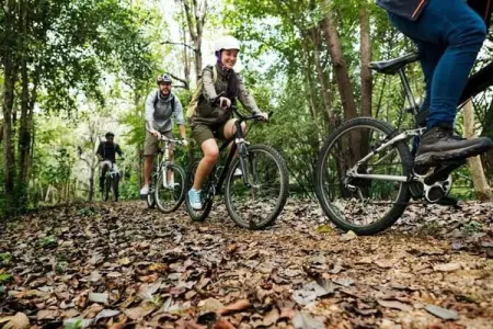 Villa Achille, Maison de vacances moderne à Somme-Leuze avec grand jardin - Photo 24