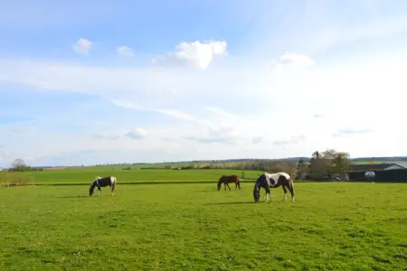 Chantegrillet, Quaint Cottage avec piscine à Purnode - Photo 33