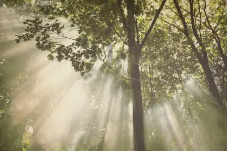 La  Conciergerie, Demeure moderne avec piscine à Hastière-par-Delà - Photo 37