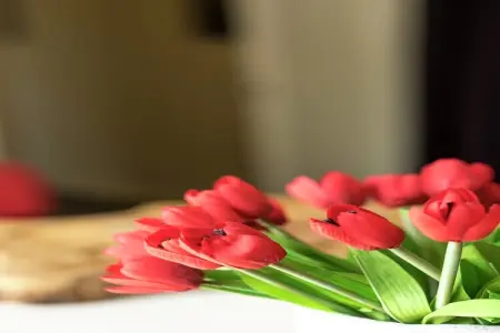 La  Conciergerie, Demeure moderne avec piscine à Hastière-par-Delà - Photo 38