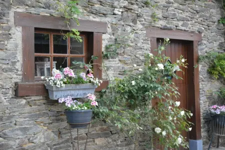 Likthuus 9, Maison de vacances confortable à Bièvre avec étang - Photo 33