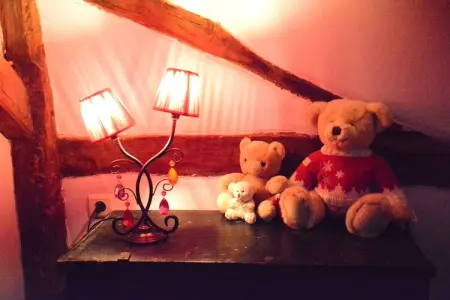 Likthuus 15, Maison de vacances spacieuse à Bièvre avec sauna - Photo 37