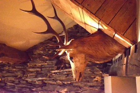 Likthuus 24, Maison de vacances typique avec jacuzzi à Bièvre - Photo 37