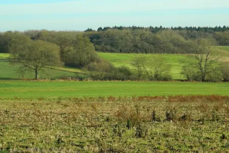 La Ferme du Couchant, Maison traditionnelle avec jardin privé à Beauraing - Photo 34