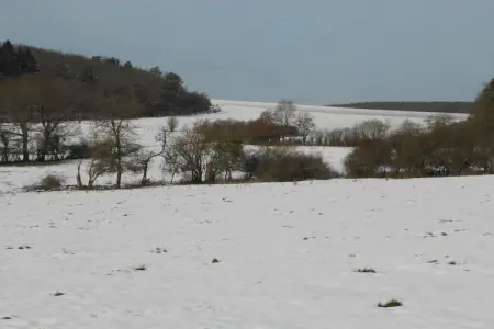 La Ferme du Couchant, Maison traditionnelle avec jardin privé à Beauraing - Photo 36