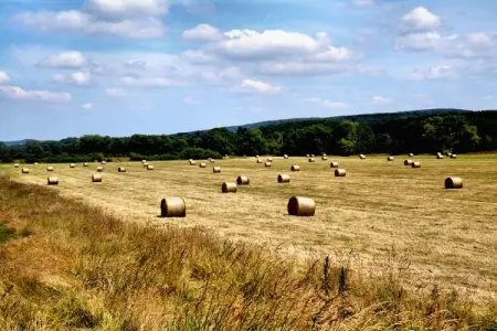 A l'Aise, Chalet de luxe à Beauraing avec sauna - Photo 33