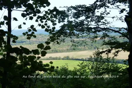 Bois Joli, Maison de vacances spacieuse avec terrasse à Beauraing - Photo 7