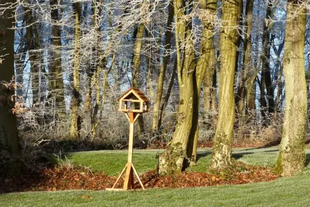 Bois Joli, Maison de vacances spacieuse avec terrasse à Beauraing - Photo 21