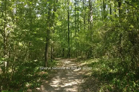 Bois Joli, Maison de vacances spacieuse avec terrasse à Beauraing - Photo 26
